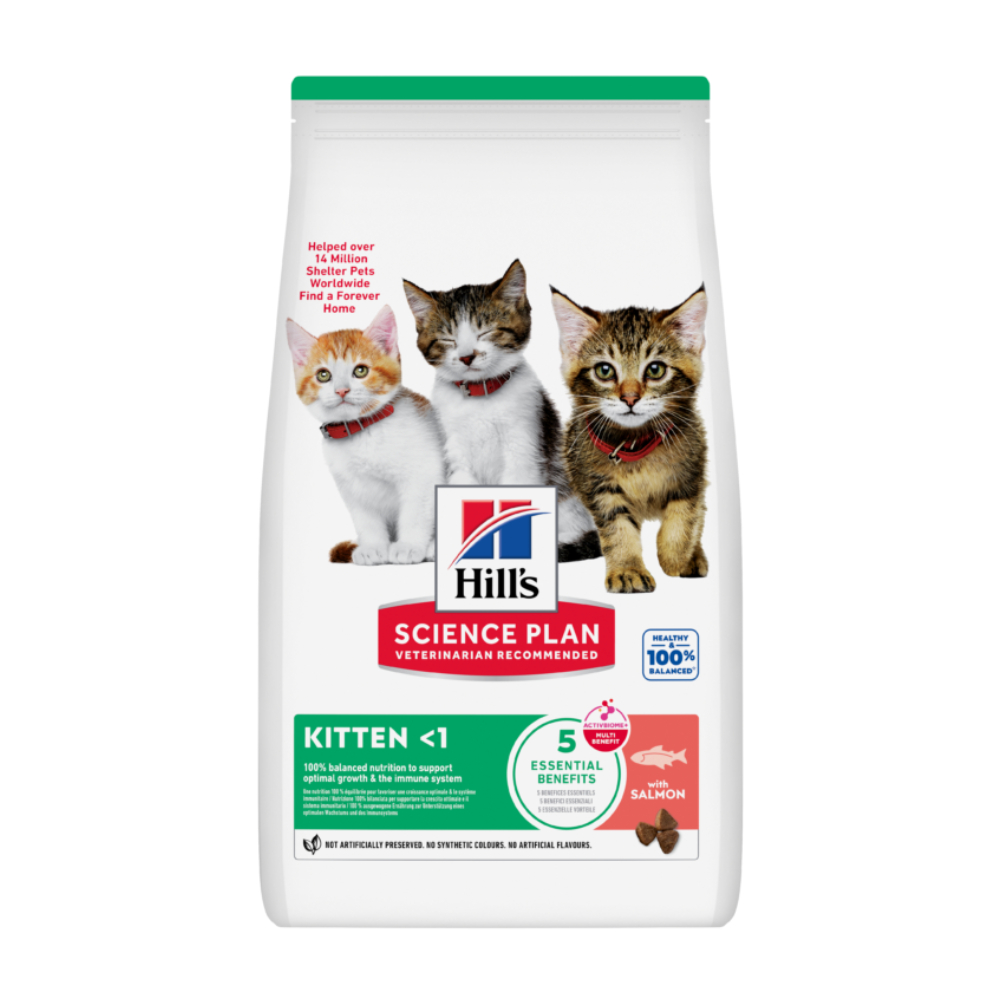 Hill's Science Plan Kitten <1 with Salmon Dry Cat Food (1.5 kg)